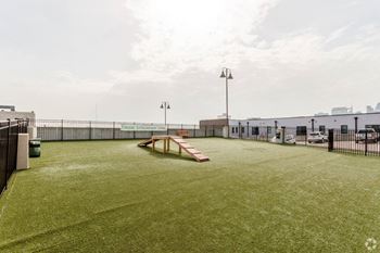 Pet park